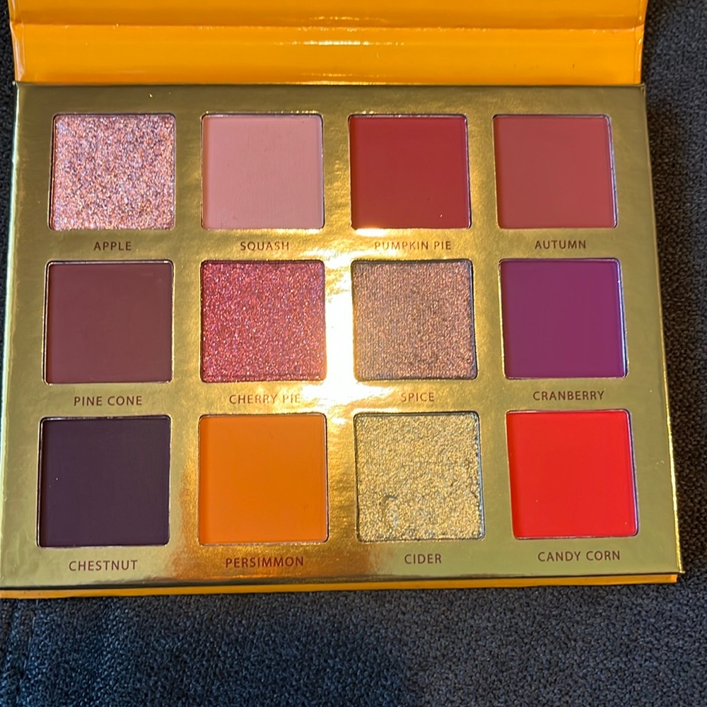 Ace Beaute falling for you eyeshadow palette